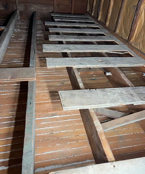 Attic Clean Out in Renton 